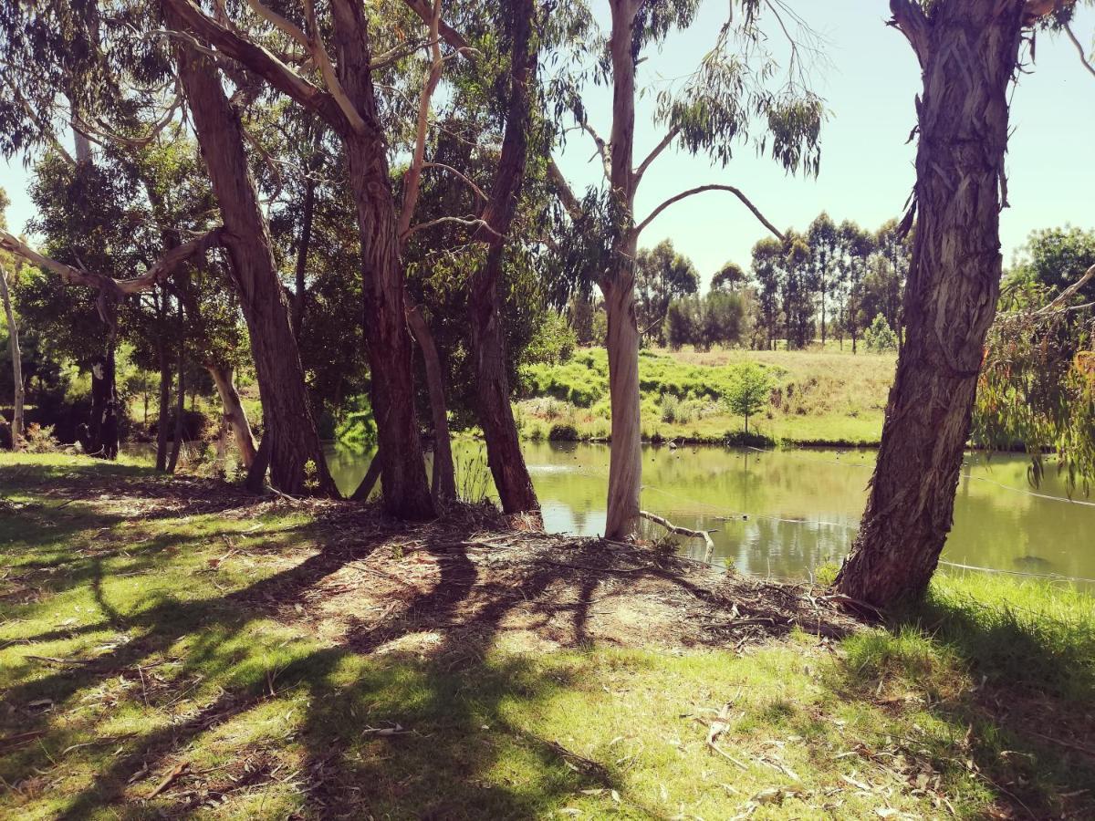 Woodlands Of Balingup Bush Cottages Extérieur photo