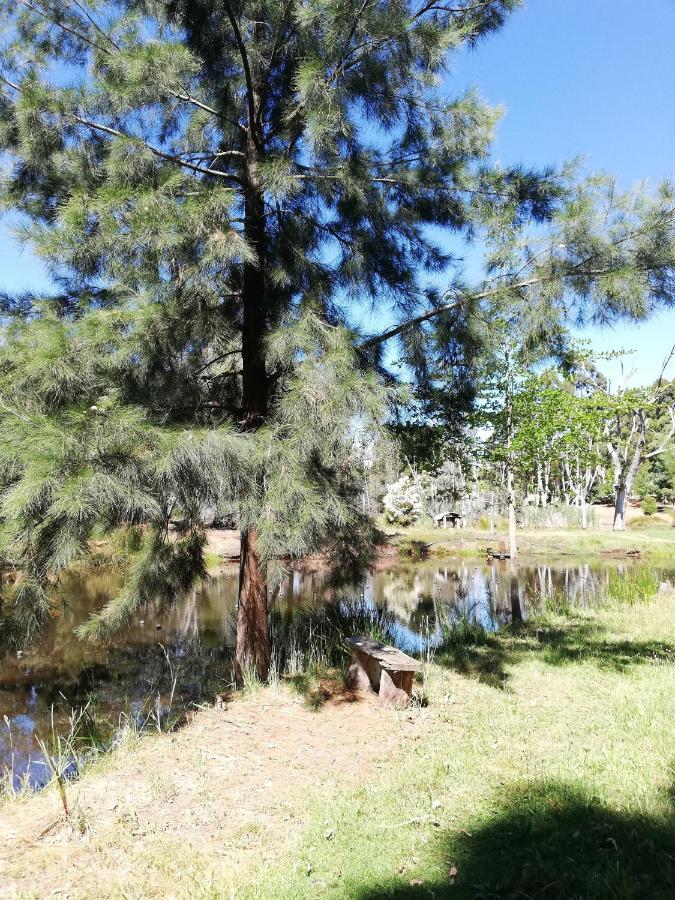 Woodlands Of Balingup Bush Cottages Extérieur photo