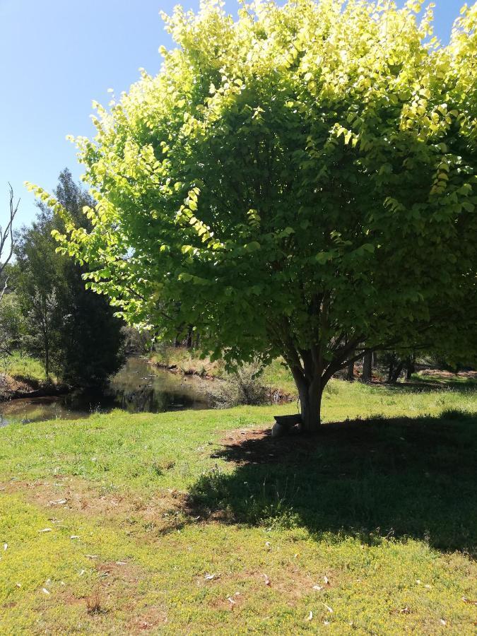 Woodlands Of Balingup Bush Cottages Extérieur photo